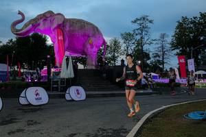 BIB: 
                            <button type="button" onclick="openModal(26529677)" class="btn btn-primary btn-sm float-right btn-popup" data-toggle="modal" data-target=".modal-high-quality">
                        <i class="fas fa-shopping-cart"></i> Add to Cart
                    </button>
                                            <button type="button" onclick="isThisMe(26529677, true)" class="btn btn-success btn-sm float-right btn-popup btn-isme hidden" data-toggle="tooltip" data-placement="bottom" title="นี่คือรูปของคุณใช่ไหม คลิกที่นี่เพื่อเอาเข้าอัลบั้ม">
                        <i class="fas fa-plus"></i> Add to album
                    </button>
                    <button type="button" onclick="isThisMe(26529677, false)" class="btn btn-warning btn-sm float-right btn-popup btn-isnotme hidden">
                        <i class="fas fa-ban"></i> Remove from album
                    </button>